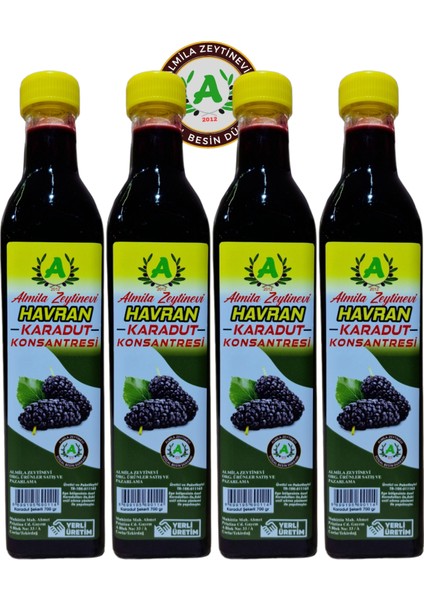 4X700GR Karadut Konsantresi (Ekonomik)