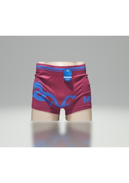 Boxer