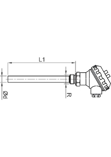 Kafalı Tip J (Fe-Const) Termokupl 6X600 mm