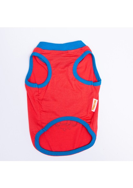 Nar Çiçeği Hello Summer Kedi Köpek Tişörtü - Kedi Köpek Kıyafeti Medium modelleri