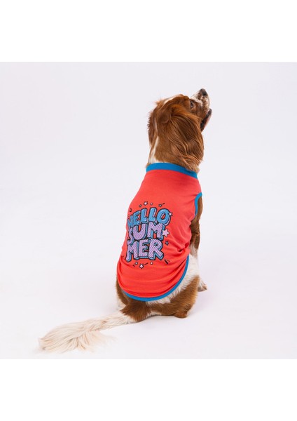 Nar Çiçeği Hello Summer Kedi Köpek Tişörtü - Kedi Köpek Kıyafeti Large