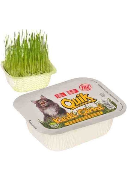 Gerçek Topraklı Kedi Çimi Quik Doğal Kedi Çimi (Fileli)