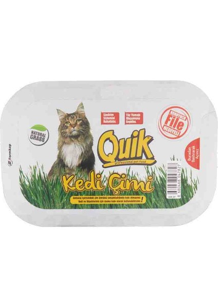 Gerçek Topraklı Kedi Çimi Quik Doğal Kedi Çimi (Fileli) fiyatları