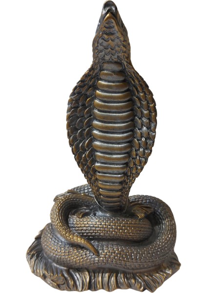 Kobra Biblo Füme