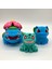 #0001 Chibi Bulbasaur Family Pokemon Figür Seti 2