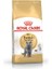 British Shorthair Yetişkin Kedi Maması - 4 kg 1