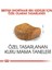 British Shorthair Yetişkin Kedi Maması - 4 kg 3