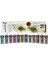 Mastermix Metalik 60 cc 12'li Set 2
