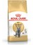 British Shorthair Için Özel Yetişkin Kedi Maması 10 kg 1
