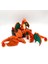 Charizard Hareketli Pokemon Figürü 4