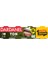 Zeytinyağlı Ton 4X75G 1