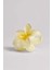Hibiscus Asetat Mandal Toka 1