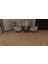 Organic Lamine Parke WH156 Oak Pagani Balıksırtı Retro Class 13X190X720 1 Paket 1.555 M² 1
