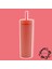 Çift Katmanlı Pipetli Sızdırmaz Kapak Bardak Matara 480 ml 1
