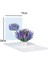 2 Adet Pop-Up Çiçek Kartı Flora Doğum Günü Anneleri Mezuniyet Evlilik Yıldönümü Için 3D Tebrik Kartı (Yurt Dışından) 1