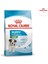 Mini Puppy 4 kg 1