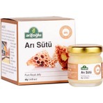 Arifoğlu Organik Saf Arı Sütü 40 gr Yüksek Kalite İçerik ile Taze ve Katkısız Besin