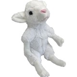 Stuffed Toys Sevimli Peluş Beyaz Kuzu 30 cm