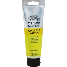 Winsor & Newton Galeria Akrilik Boya 120 ml 346