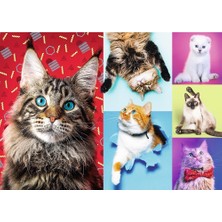 Art Puzzle Happy Cats 1000 Parça UnisexÇocuk Puzzle