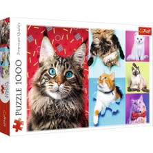 Art Puzzle Happy Cats 1000 Parça UnisexÇocuk Puzzle