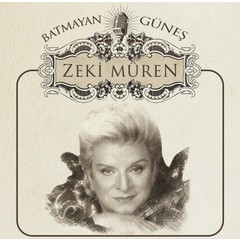 brand-icon
