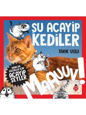 Daha Da Küçükler İçin Şu Acayip Kediler - Tarık Uslu