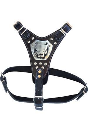 Kopek Tasmasi Cesitleri Gogus Tasmasi Fiyatlari Indirim Burada Sayfa 6