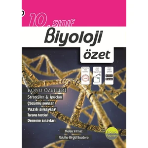 Pano 10. Sınıf Biyoloji Özet