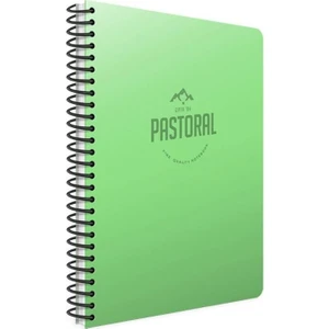 Pastoral Kareli Defter Pp Kapak 120 Yaprak A4 3248 Fıstık Yeşili