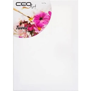 Ceo Art Düz Tuval, 50 x 70 cm