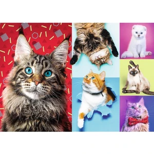 Art Puzzle Happy Cats 1000 Parça UnisexÇocuk Puzzle
