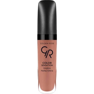 Golden Rose Color Sensation Lipgloss No: 131 Brown Nude - Renkli Dudak Parlatıcısı - 8691190704315