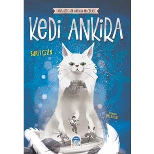 Kedi Ankira - Buket Çetin