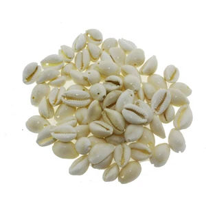 Mutlu Adım Annulus Deniz Kabuğu Delikli 100 gr
