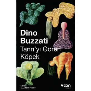 Tanrıyı Gören Köpek - Dino Buzzati