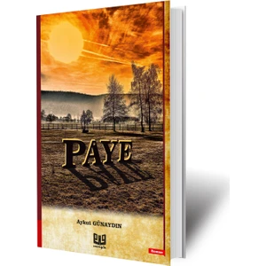 Paye - Aykut Günaydın