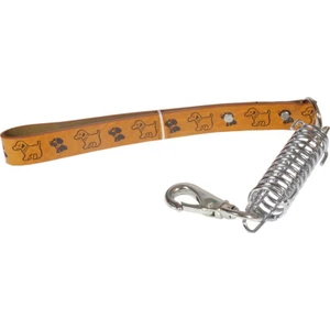 Ans 418 Yaylı Köpek Gezdirme Tasması Orta Boy