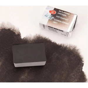St. Petersburg White Nights Tam Tablet Sulu Boya 811 Ivory Black (Hue)