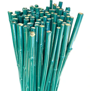 10'lu Bambu Üzeri Pwc Kaplı Bitki Destek Çubuğu 60 cm