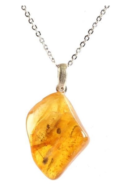 Doğal Fosil Kehribar Taşı Doğal Taş Kolye (Zincir Dahil)