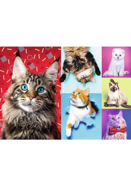 Art Puzzle Happy Cats 1000 Parça UnisexÇocuk Puzzle