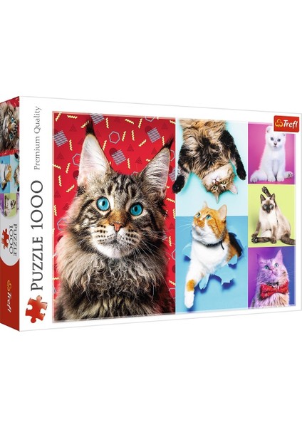 Art Puzzle Happy Cats 1000 Parça UnisexÇocuk Puzzle