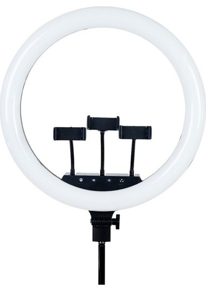 LED Rl 21" 220V Girişlitelefon Tutacaklı Uzaktan Kumanda Çantalı Selfie Işığı 3'lü