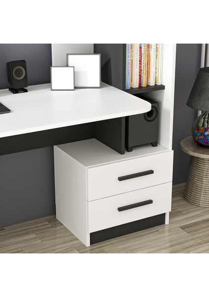 Alaska Çalışma Masası modelleri