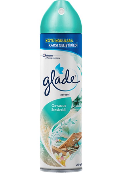 Aerosol 300Ml Okyanus Sessizliği-12'Li fiyatları