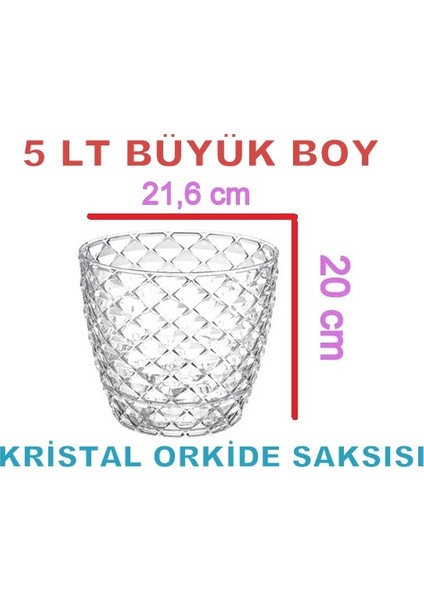 Büyük Boy 5 lt Tabaklı Kristal Şeffaf Orkide Saksısı KAP03