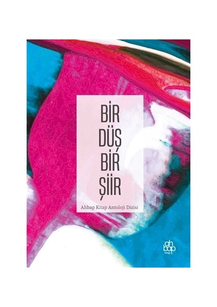 Bir Düş Bir Şiir