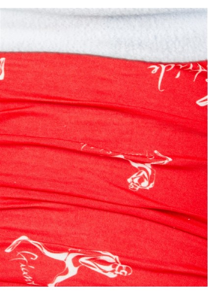 Snow Tube Red Tube