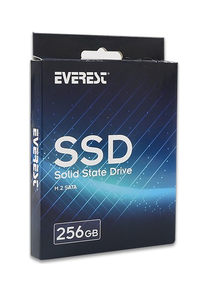 256GB 550MB-450MB/s M2 SSD EV-M2SSD256 fırsatları